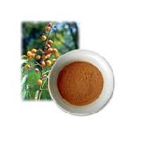 Manufacturers Exporters and Wholesale Suppliers of Aritha Powder Balotra Rajasthan